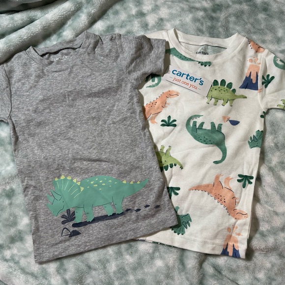 Carter's Dinosaur Graphic Tees - Gray & Cream - Picture 1 of 4